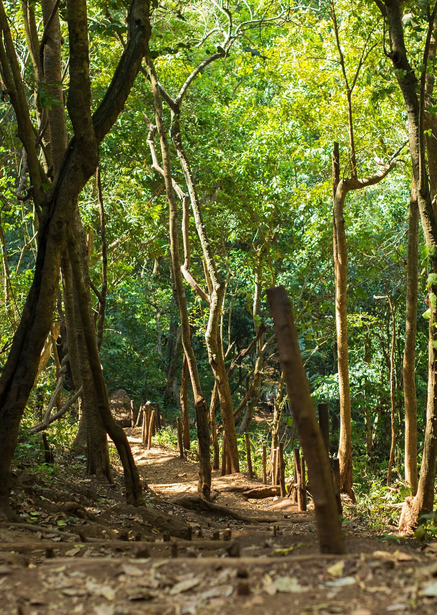 Maredumilli Eco Tour photo 3