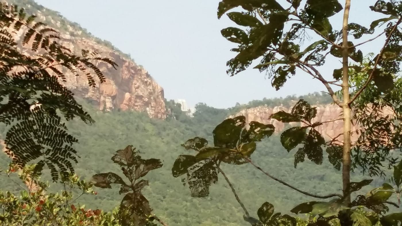 Tirupati Balaji Darshan Tour photo 4